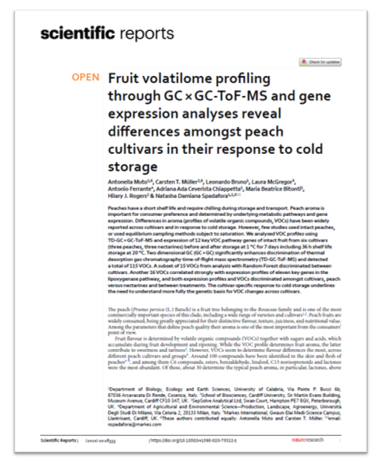 Determining Fruit Quality